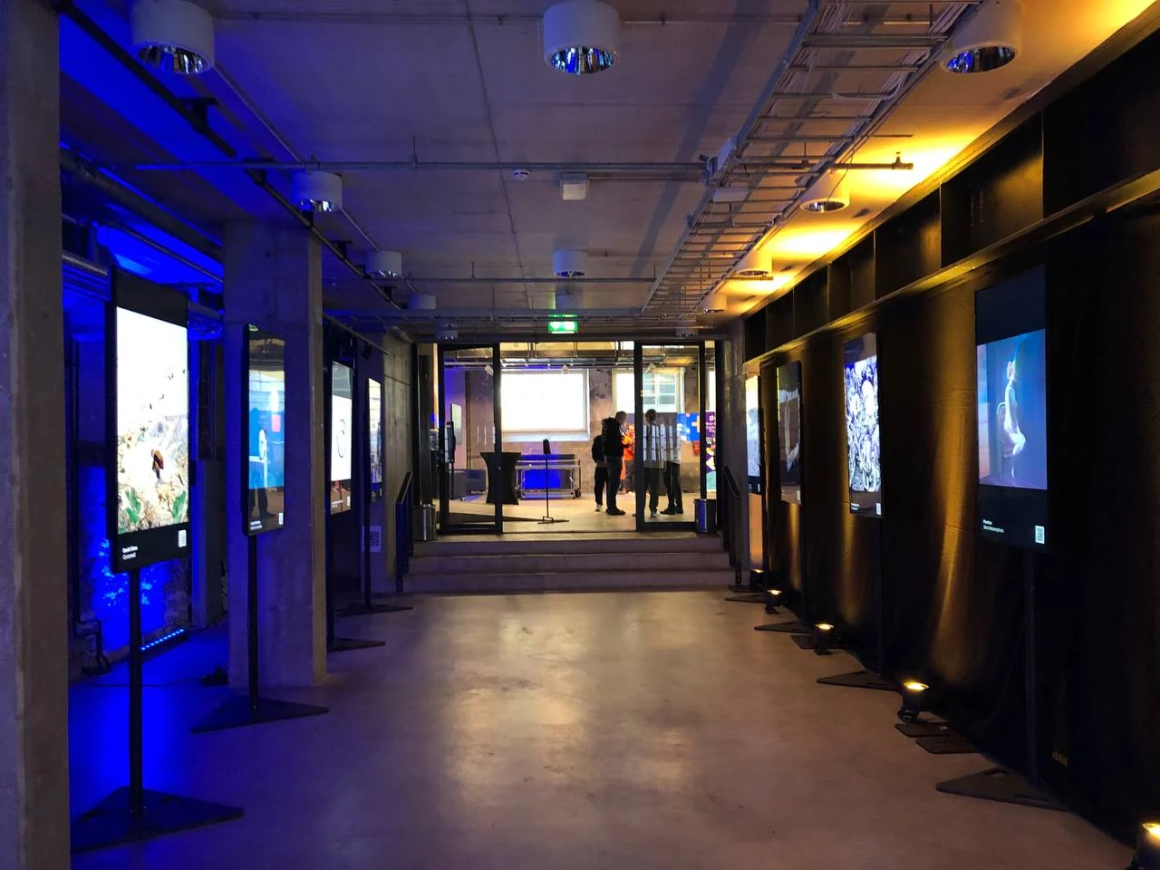 NFT Tallinn digital art gallery